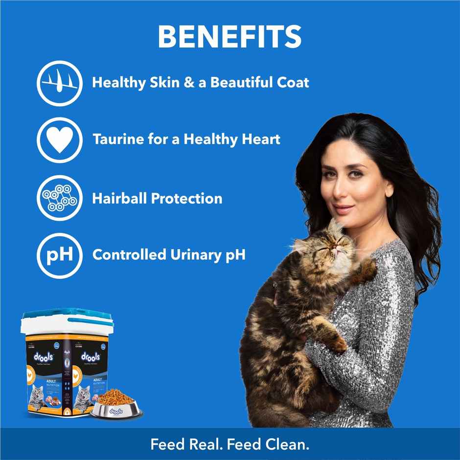 Drools Real Chicken Adult Dry Cat Food Inside Container 5kg