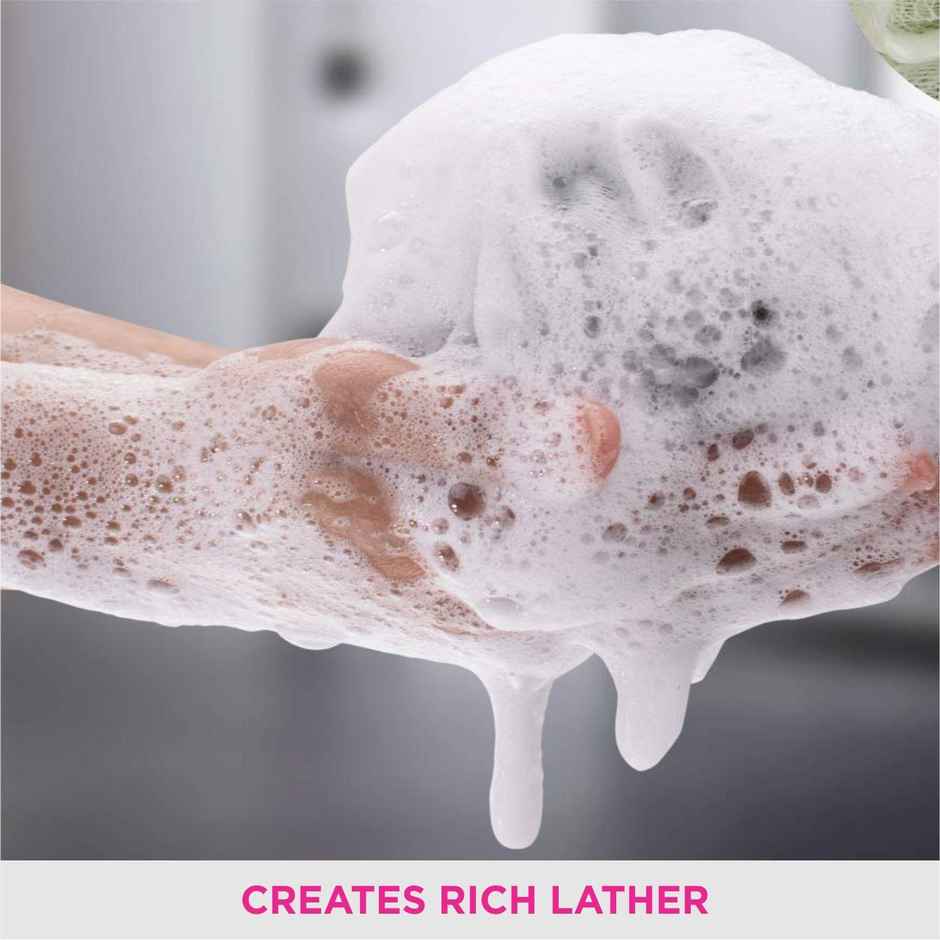 VEGA Everyday Sponge, (BA-3/8)