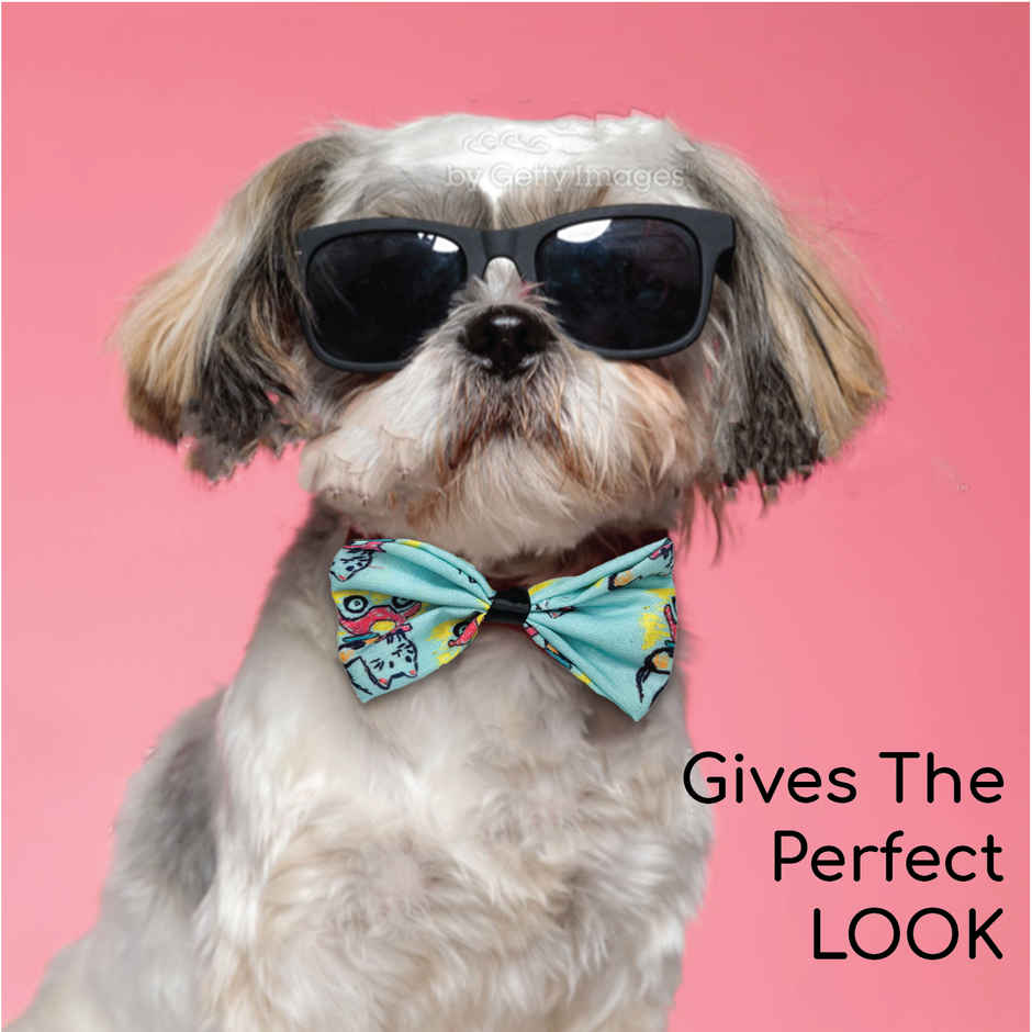 Papa Pawsome Handmade Bow Tie, Assorted , 1 Piece