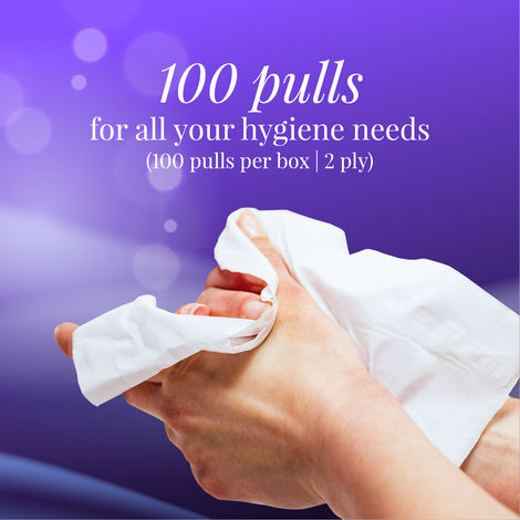 Origami Car Face Tissue | 2 Ply