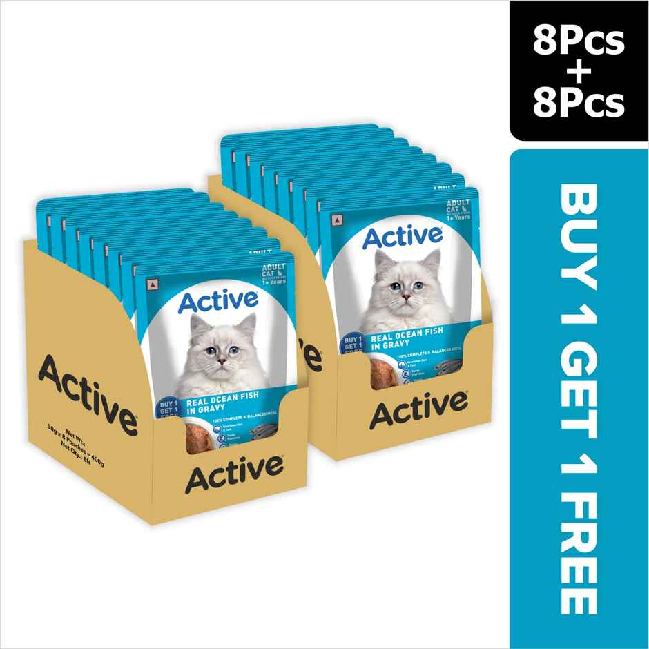 Active Adult Cat Wet Food, Real Ocean Fish in Gravy, 8 Pouches ( Buy 1 Get 1 Free)