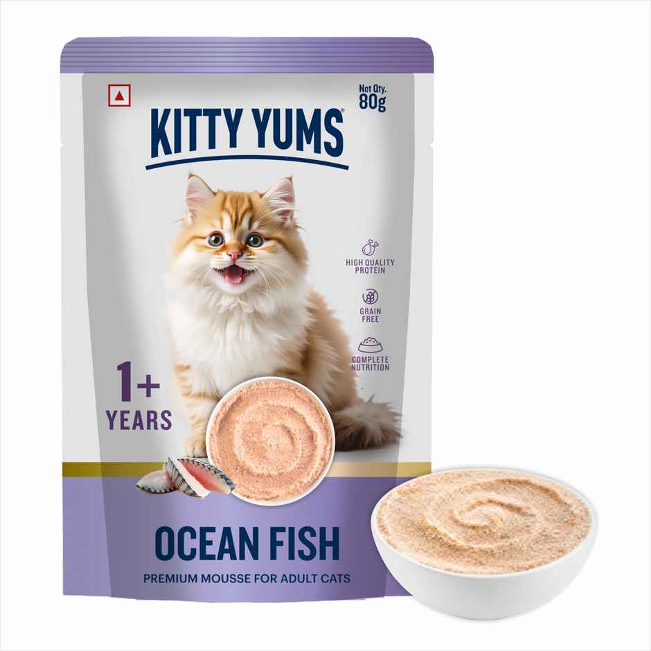 Kitty Yums Ocean Fish Mousse Adult Cat Wet Food