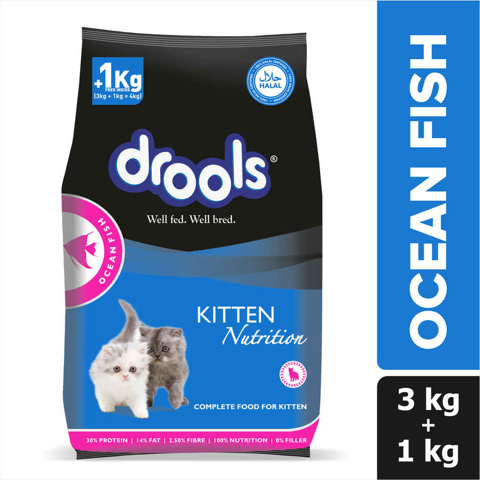 Drools Ocean Fish Kitten Cat Food (3 kg+1 kg Food Free Inside)