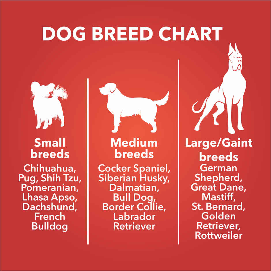 Drools Dog Biscuit