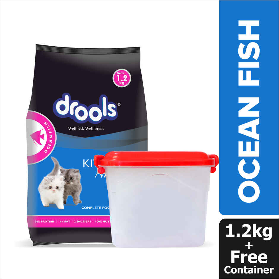 Drools Kitten (1-12 Months) Dry Cat Food With Free Container - Ocean Fish