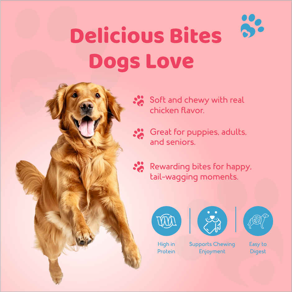 Petoska Dog Treats Pomegranate Chicken Sticks