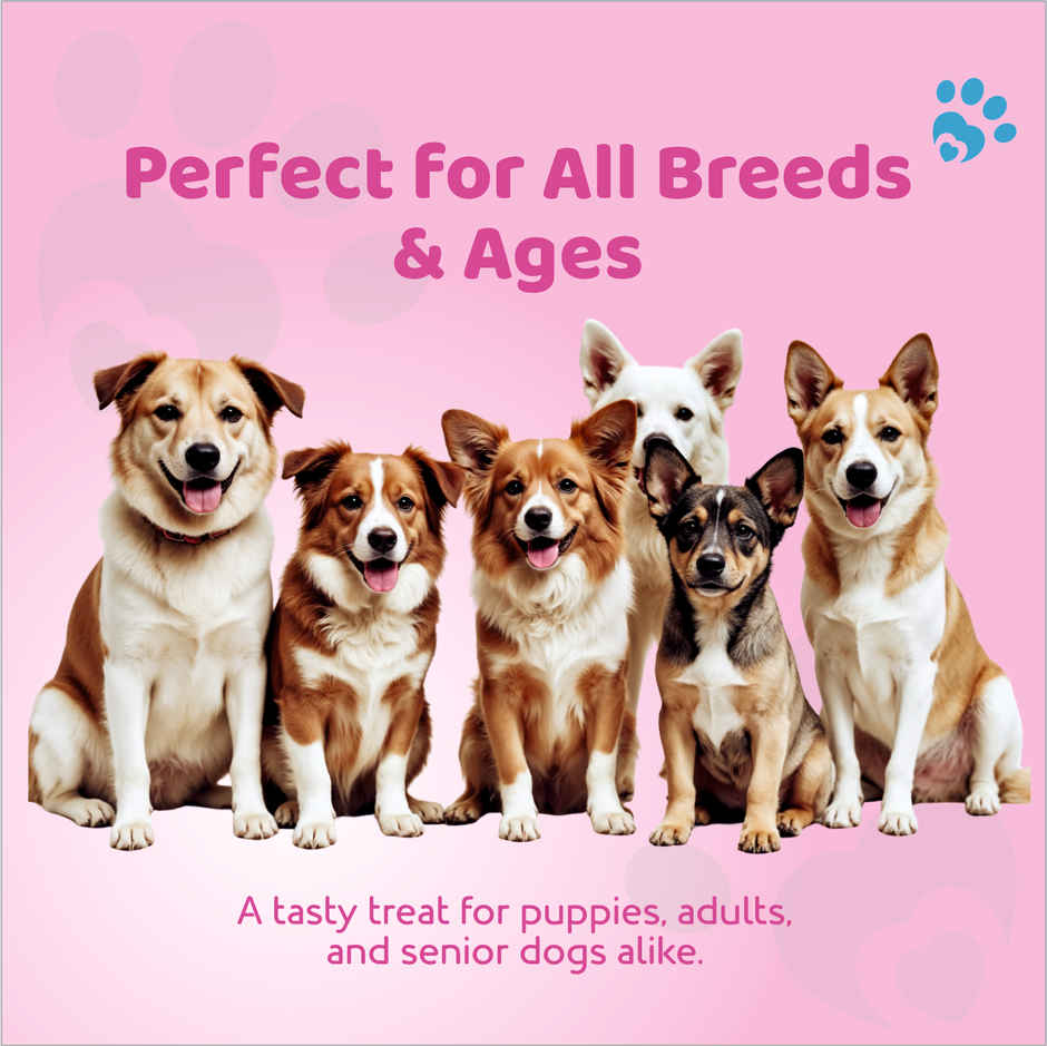 Petoska Dog Treats Chicken and Strawberry Red Heart Sticks