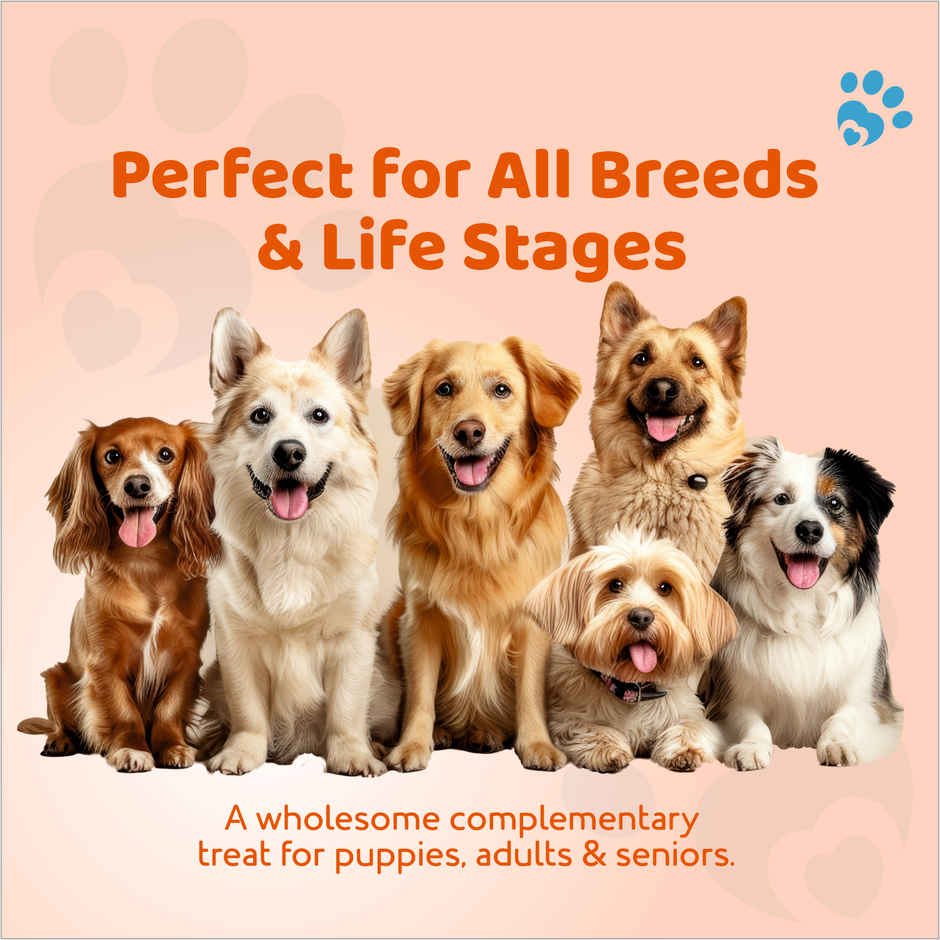 Petoska Dog Biscuits Chicken and Carrot