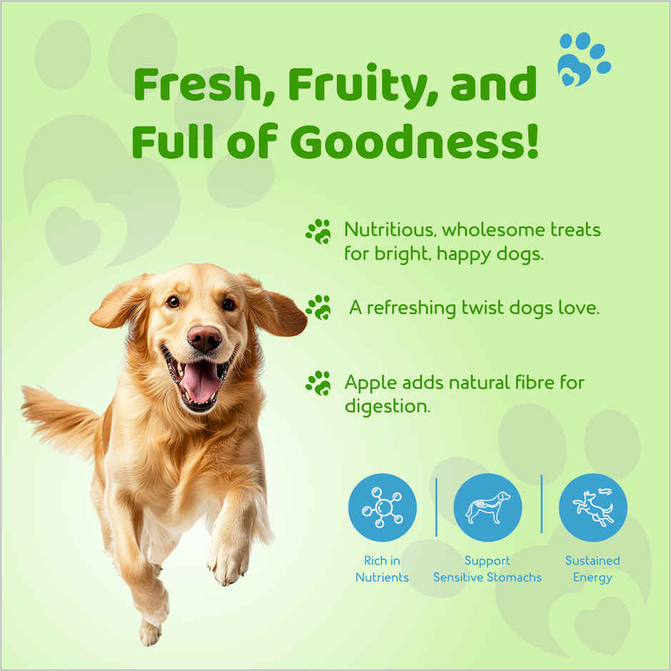 Petoska Dog Biscuits Chicken and Apple