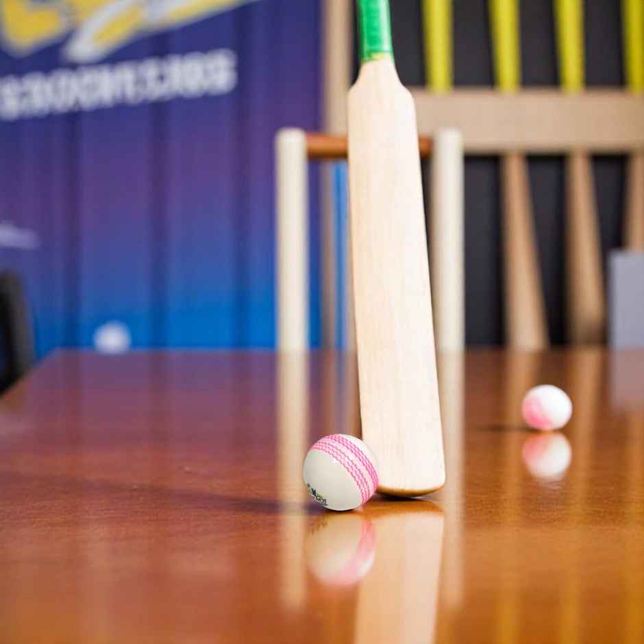 Elan T20 Ball Pack of 3 In Can Packing