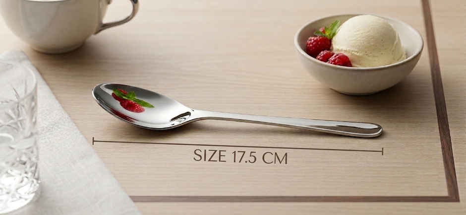 Everest Stainless Steel Desert Big Regular Spoon | Set of 6 Pcs