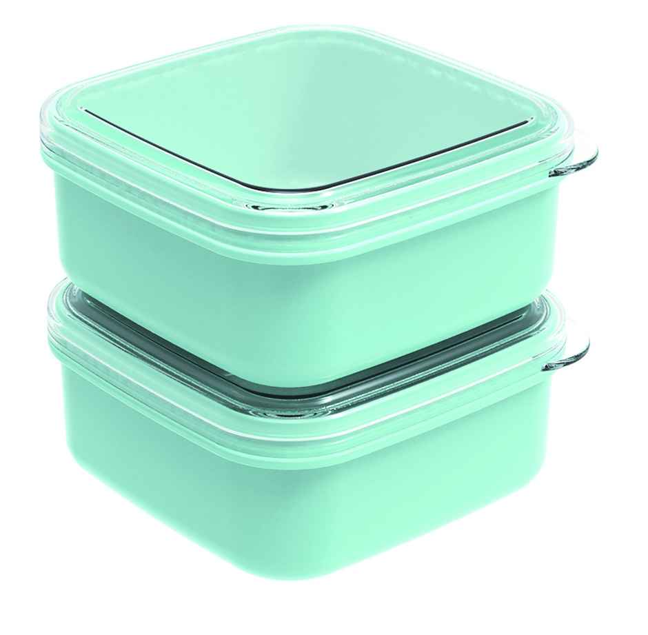 All Time Bestow Storage Box | Set Of 2 | 560 ml Each | (Colour May Vary)
