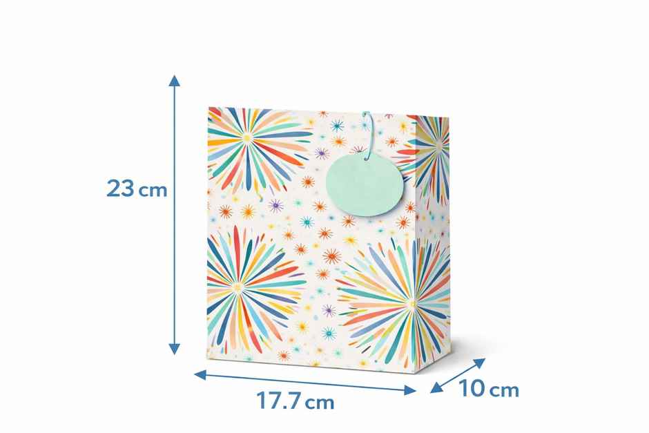 Decorative Gift Bag Small With Gift Tag | Bright Storey