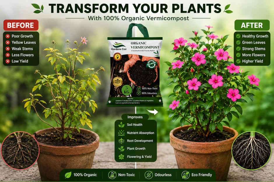 Gardens Coir Vermicompost Organic Fertilizer for Plants