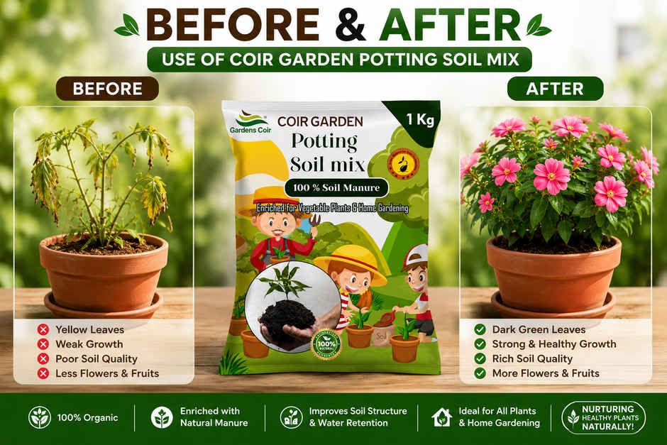 Gardens Coir The Perfect Potting Mix for Indoor & Outdoor Plants