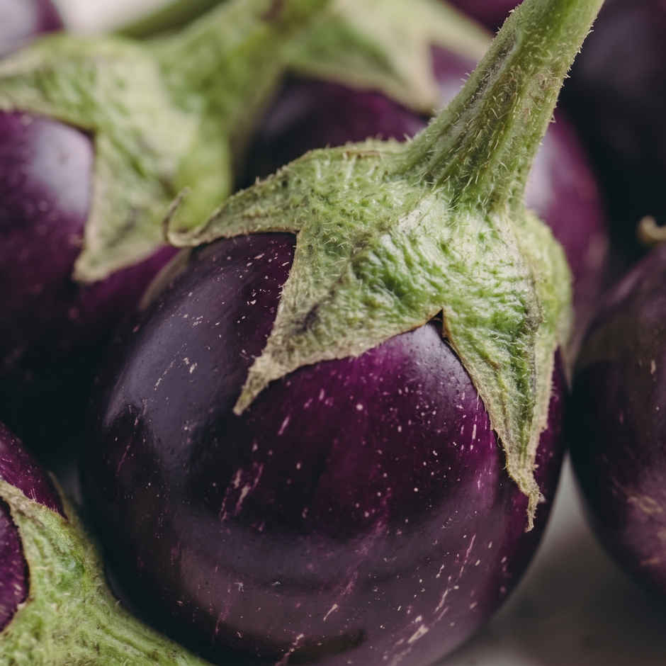 Brinjal Small Striped