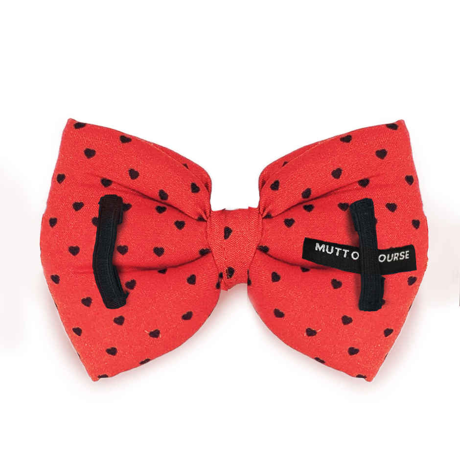 Mutt Of Course Little Hearts Pet Bow Tie