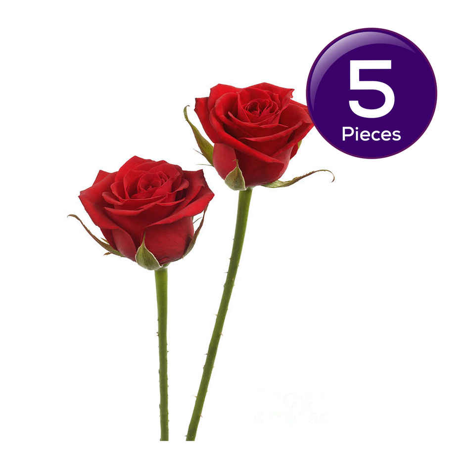 Red Rose Combo