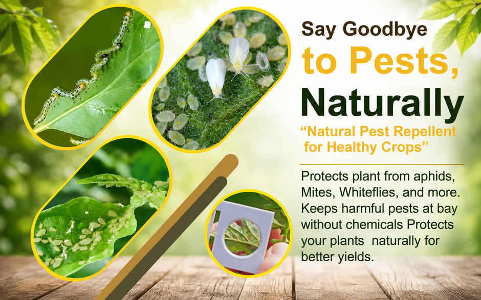 Gardens Coir Organic Neem Cake Powder for Stronger Roots & Better Growth