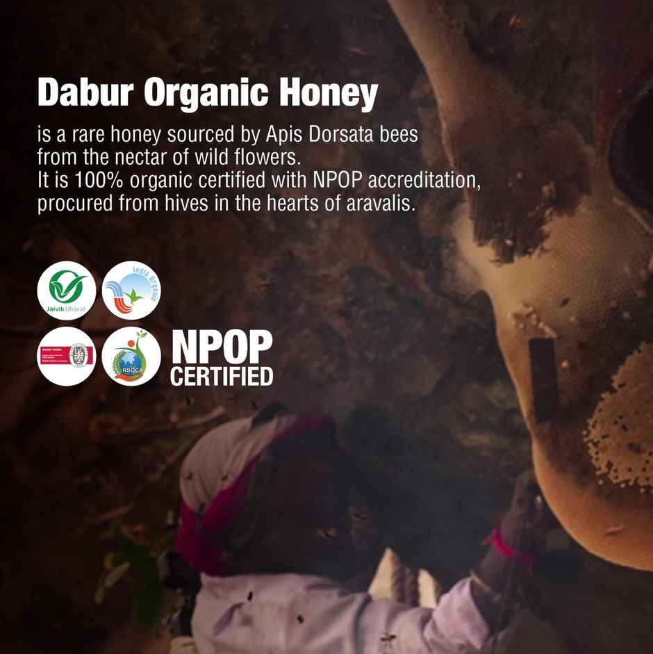 Dabur Honey Organic Squeezy | World's No.1 Honey Brand