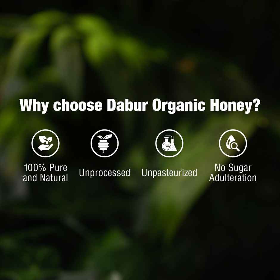 Dabur Honey Organic Squeezy | World's No.1 Honey Brand