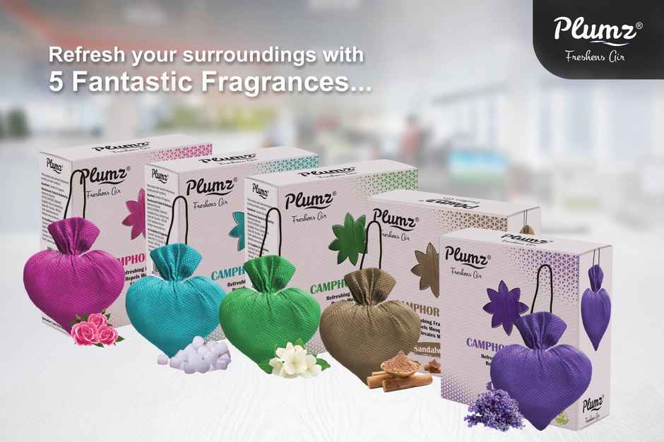 Plumz ZepPure Sandal Camphor Heart Room Freshener