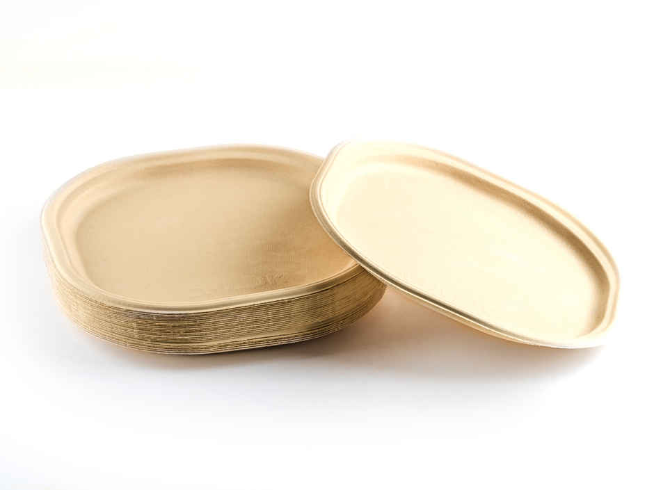 Chuk Eco-friendly Disposable Plate 10 inch