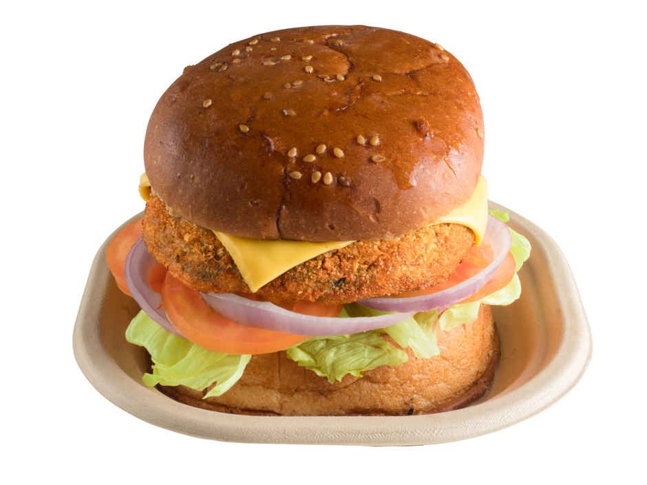 Chuk Eco-friendly Disposable Plate 6 inch