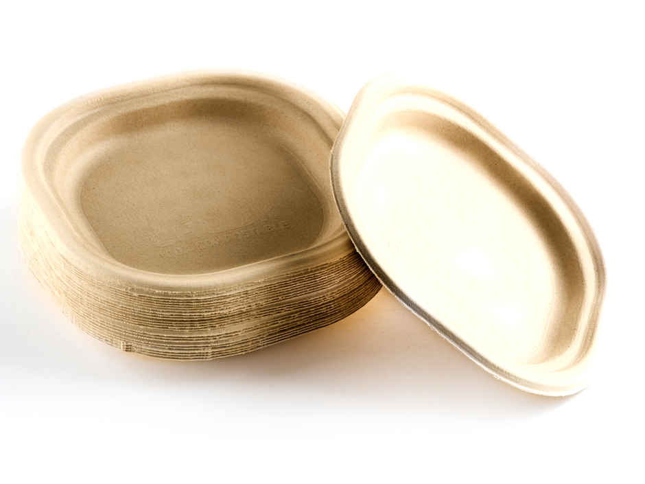 Chuk Eco-friendly Disposable Plate 6 inch