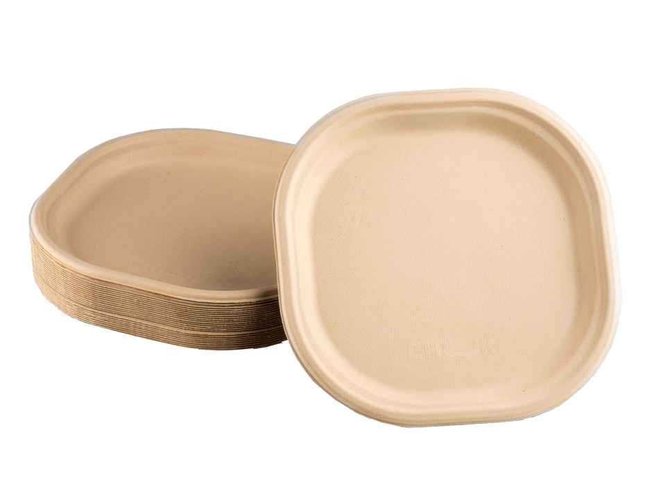 Baggase Meal Plate | 9 inch | Chuk