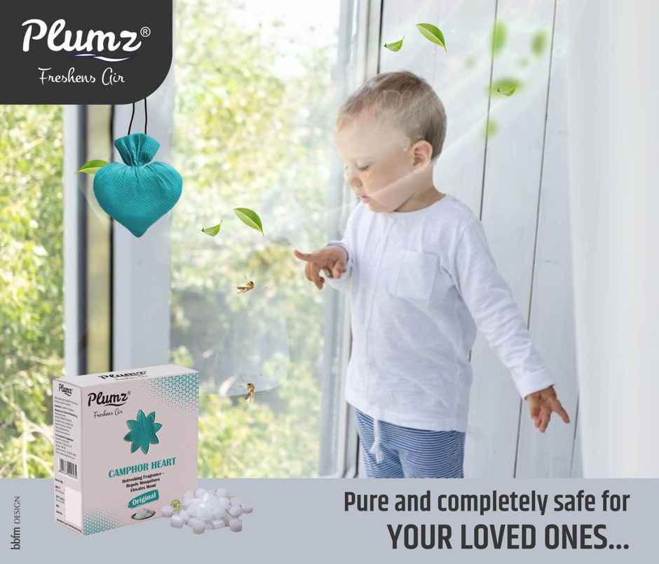 Plumz ZepPure Original Camphor Heart Room Freshener
