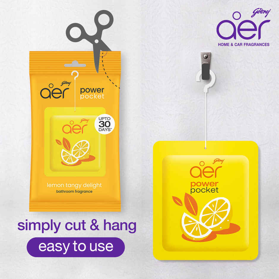 Godrej Aer Power Pocket Bathroom Freshener