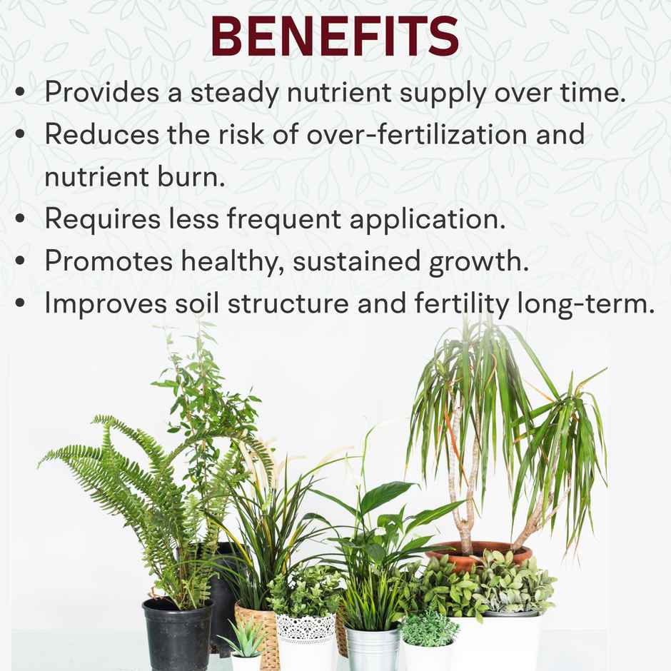 Garden Genie Indoor Plant Fertilizer | Organic Plant Khad for jade, zz, money plant etc