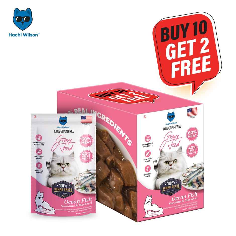 Hachi wilson Premium Ocean fish Sardine and Mackerel Gravy Cat food