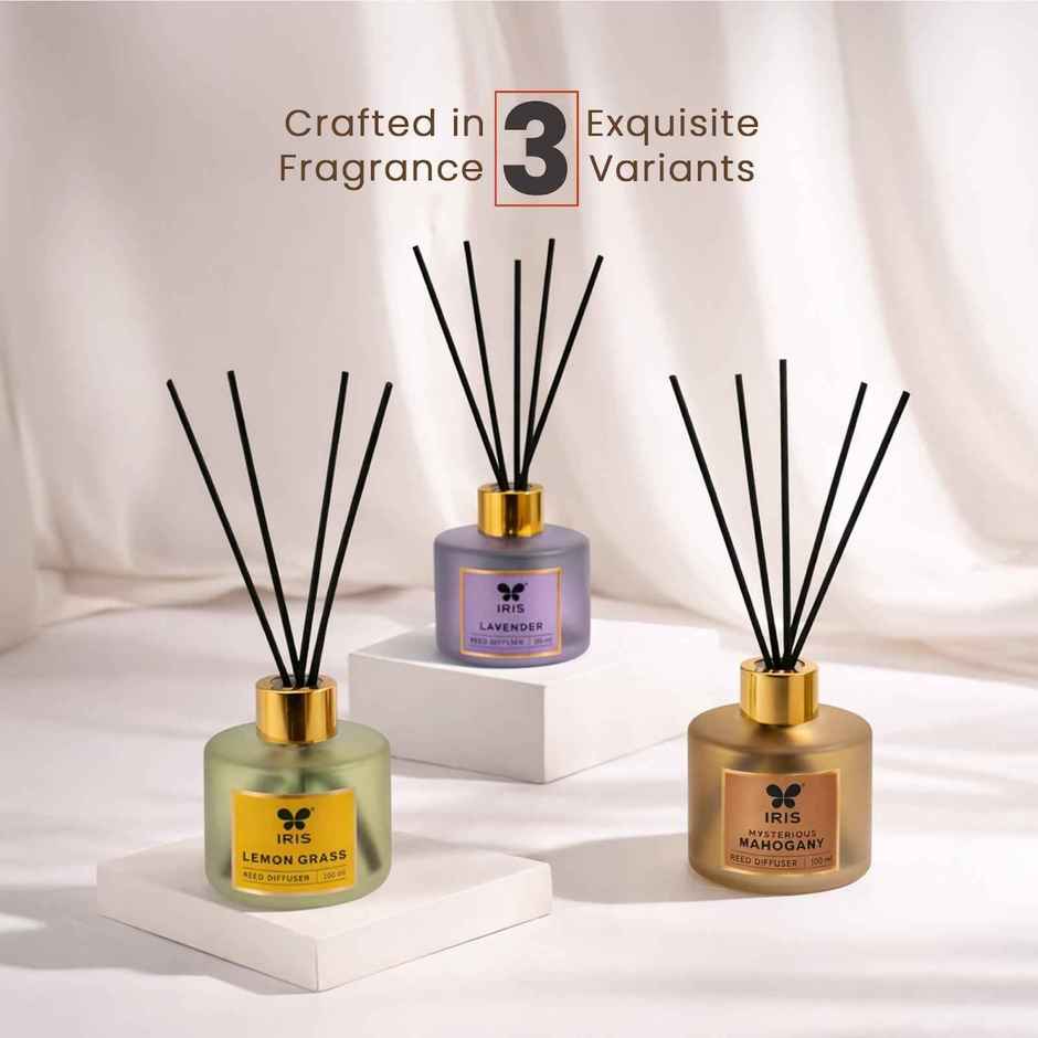 IRIS Lavender Frosted Glass Reed Diffuser Set | Oil and 5 Fibre Reed sticks
