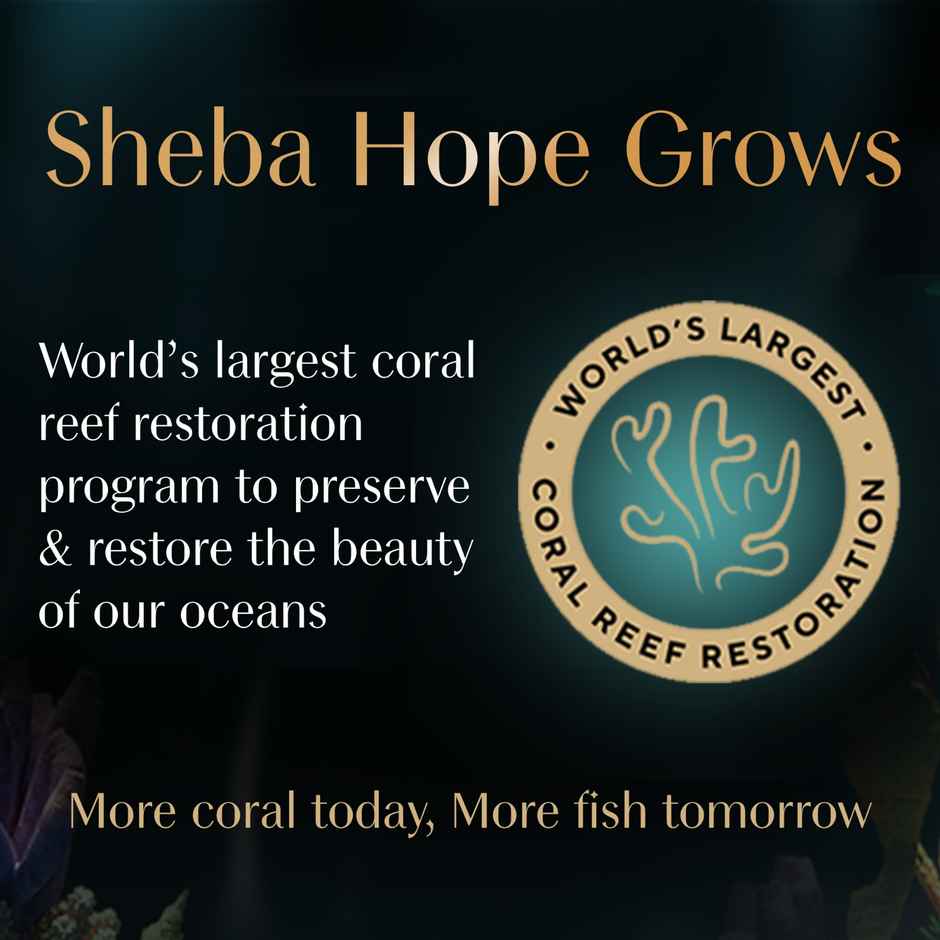 Sheba Fine Adult Chicken with Tuna in Gravy Wet Cat Food