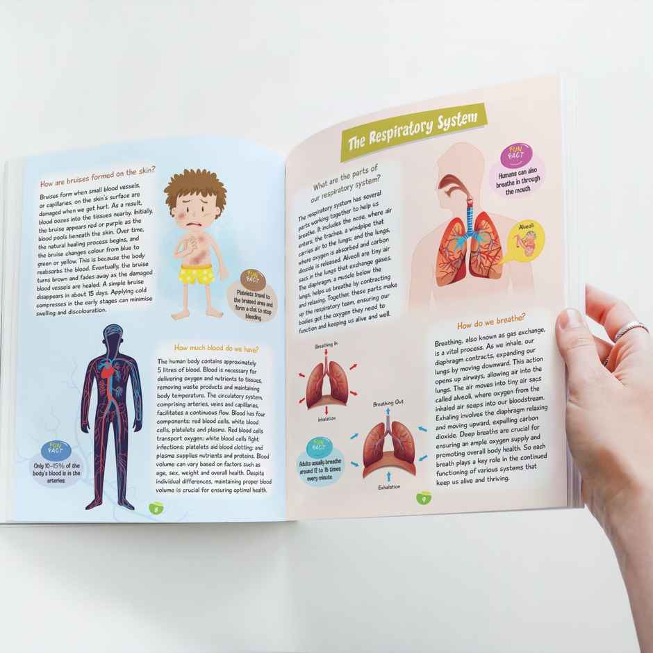 Kids Encyclopedia | Illustrated | Human Body | Questions and Answer with Pictures | Knowledge Book