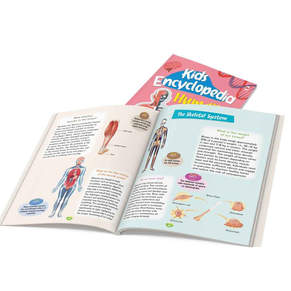 Kids Encyclopedia | Illustrated | Human Body | Questions and Answer with Pictures | Knowledge Book