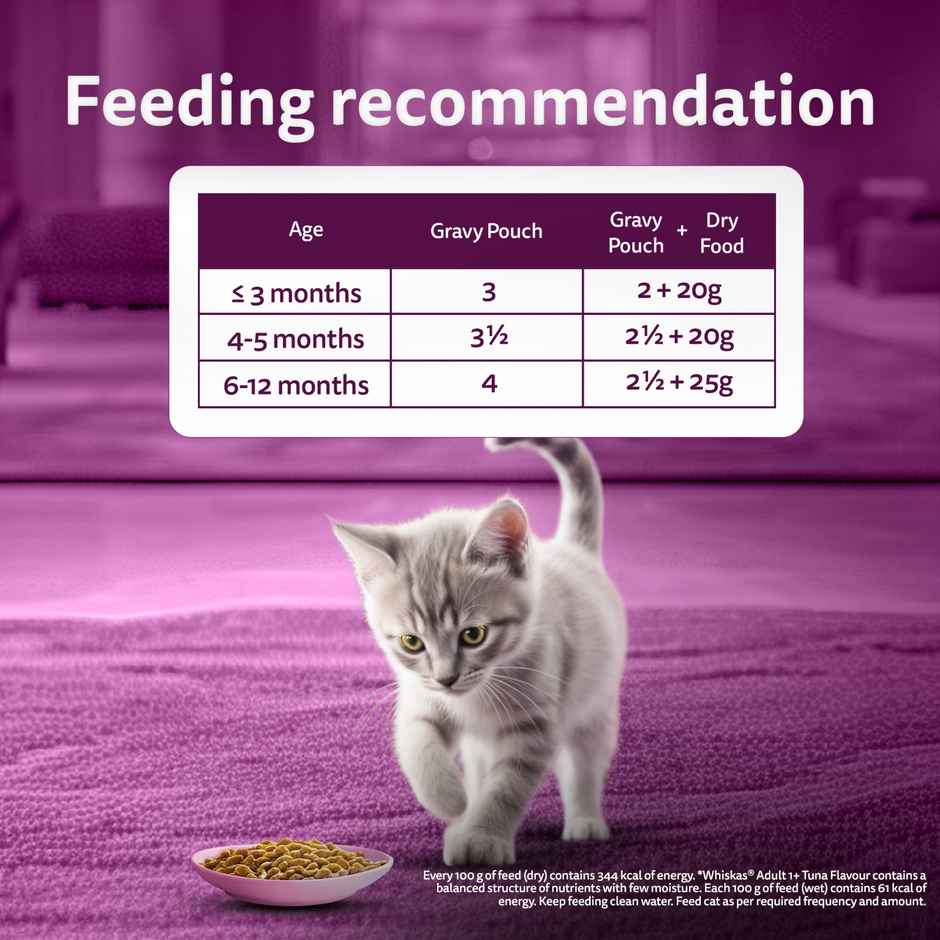 Whiskas Junior Tuna in Jelly Wet Cat Food