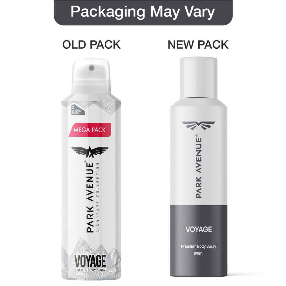 Park Avenue Voyage Deodorant Spray for men