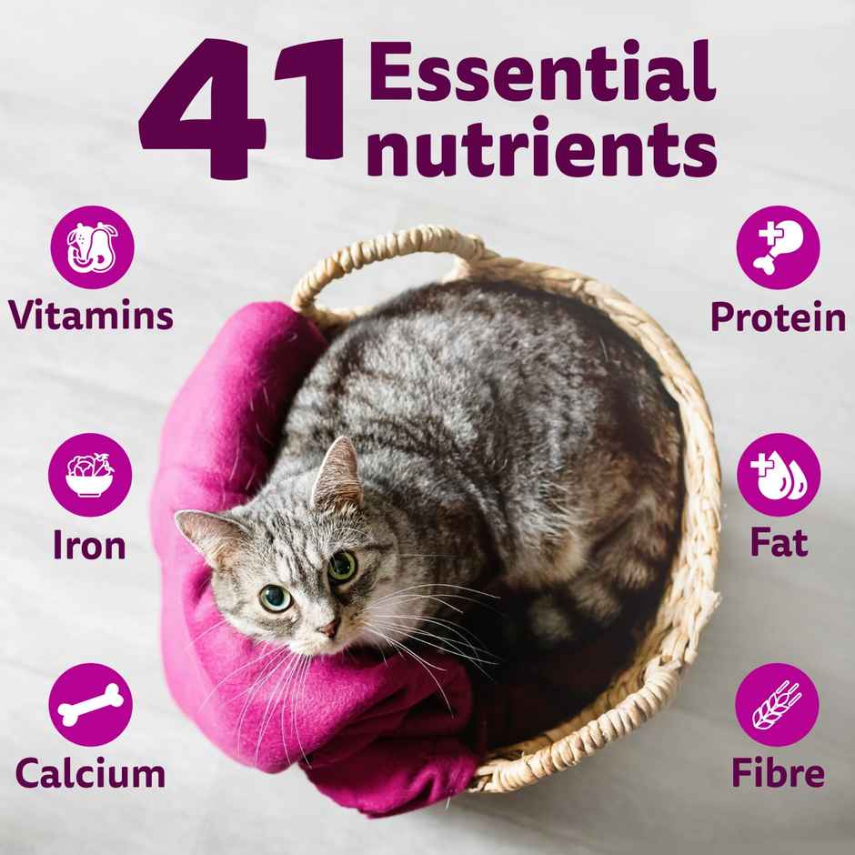 Whiskas Adult Tuna Flavour Dry Cat Food