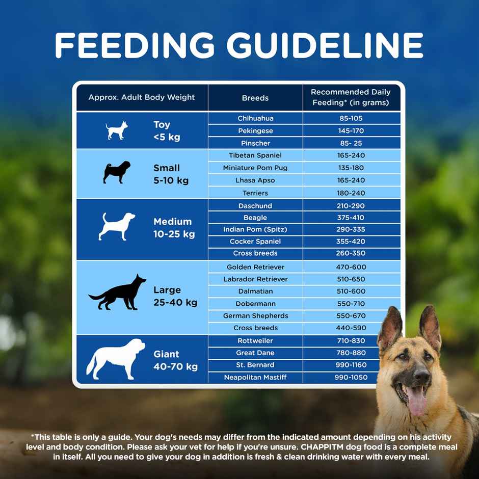 Chappi Adult Chicken & Rice Dry Dog Food