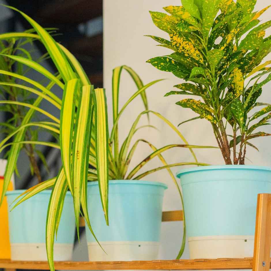 10club Self Watering Plastic Pot - Mint Beige