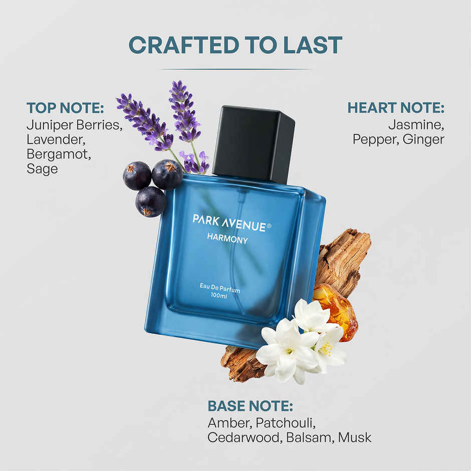 Park Avenue Harmony Eau De Parfum for Men | Premium Perfume Fragrance