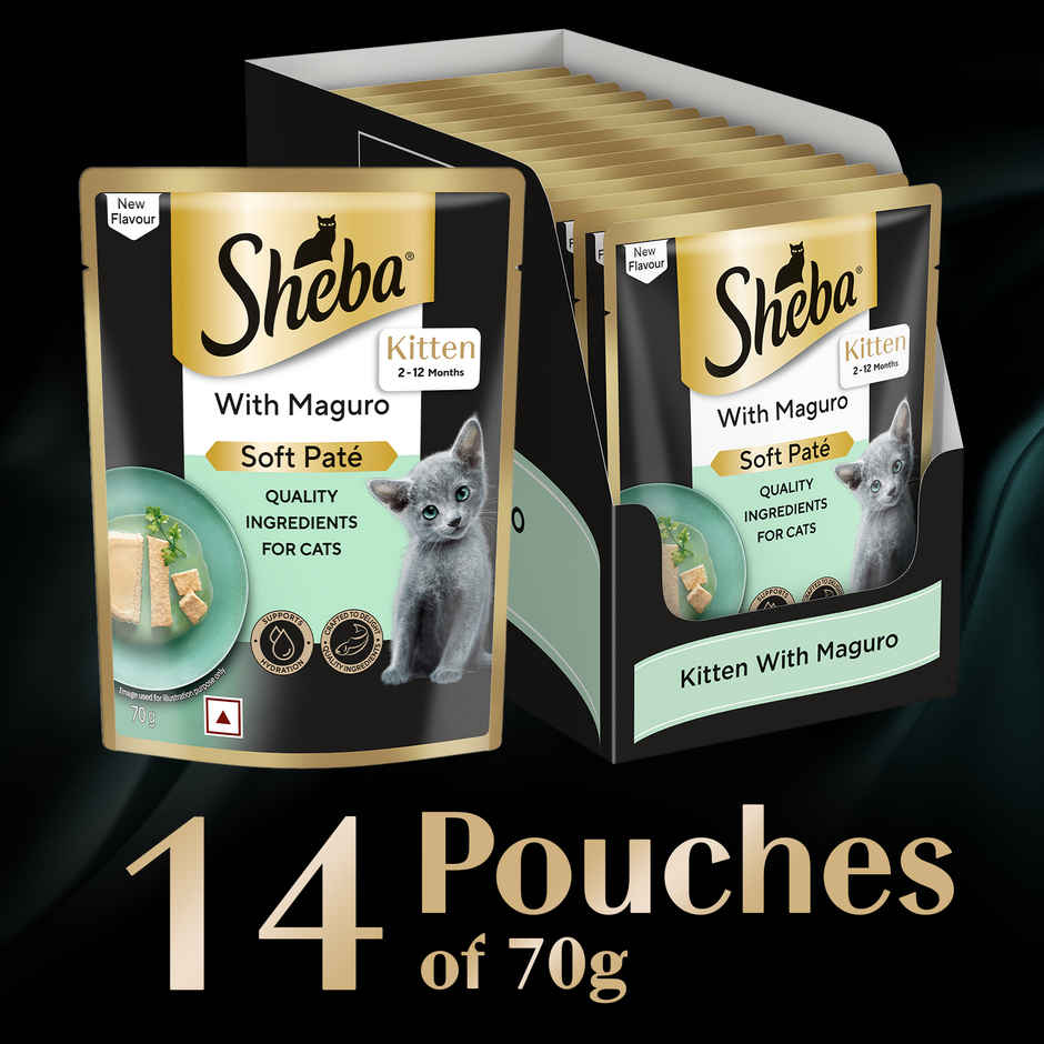 Sheba Pate Kitten Wet Cat Food | Maguro
