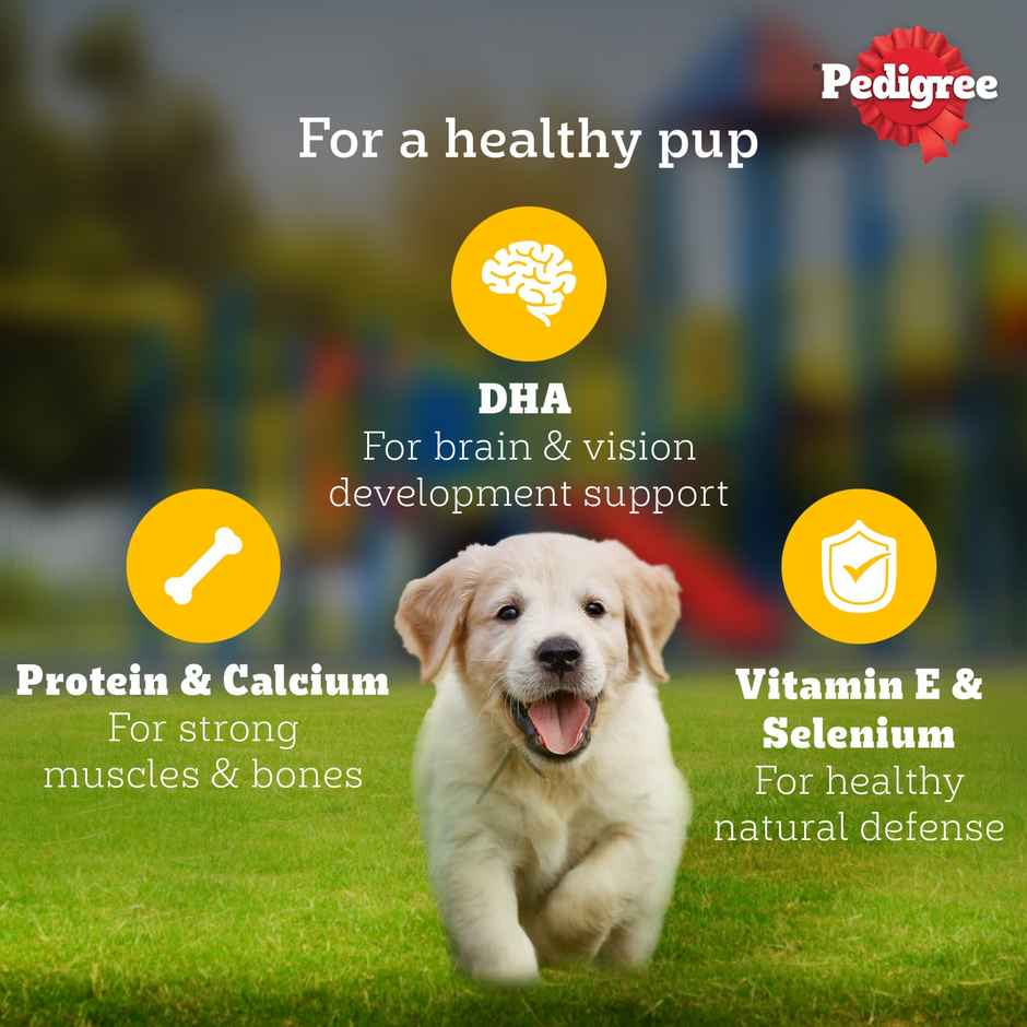 Pedigree Puppy Lamb Flavour Chunks In Gravy Wet Dog Food