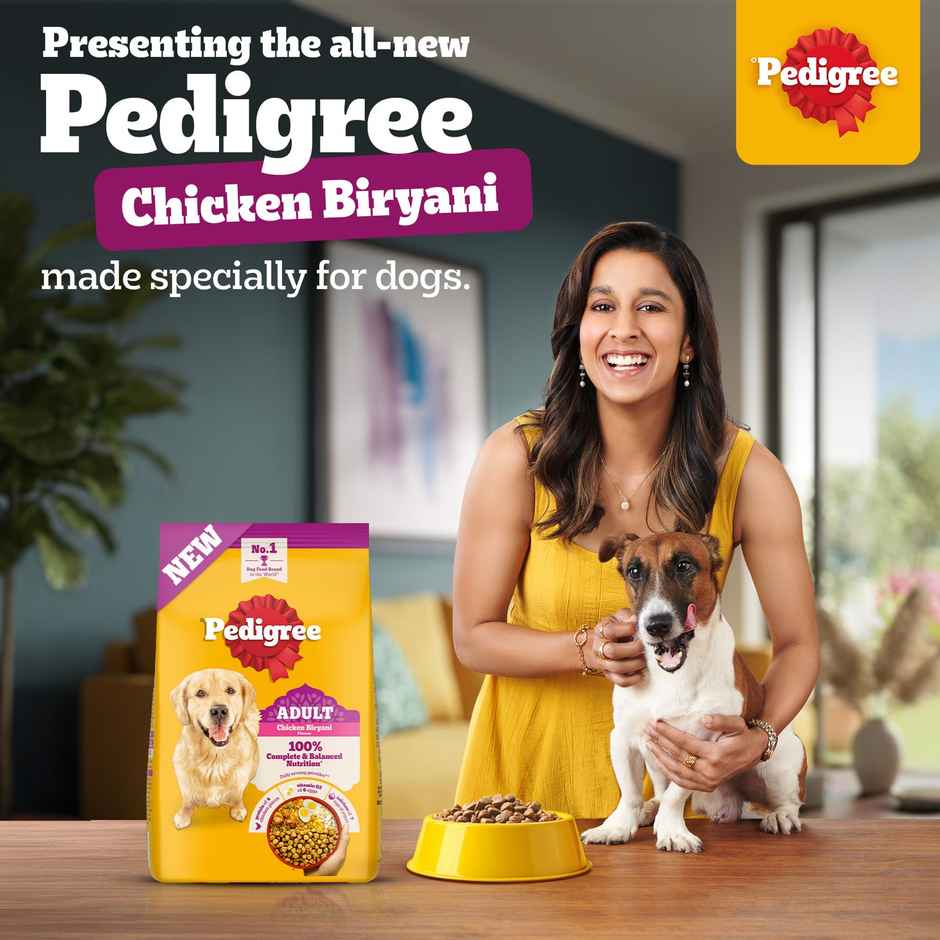 Pedigree Adult Dry Dog Food, New Chicken Biryani Flavour