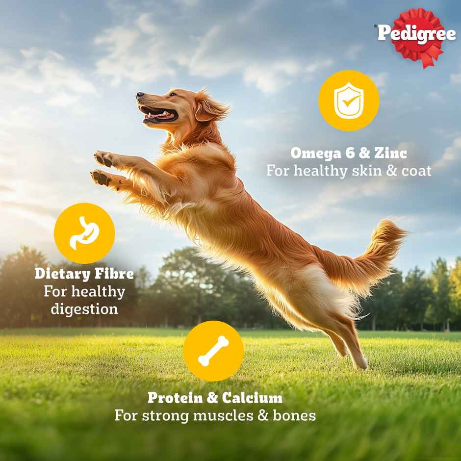 Pedigree Adult Chicken & Liver Chunks In Gravy Wet Dog Food