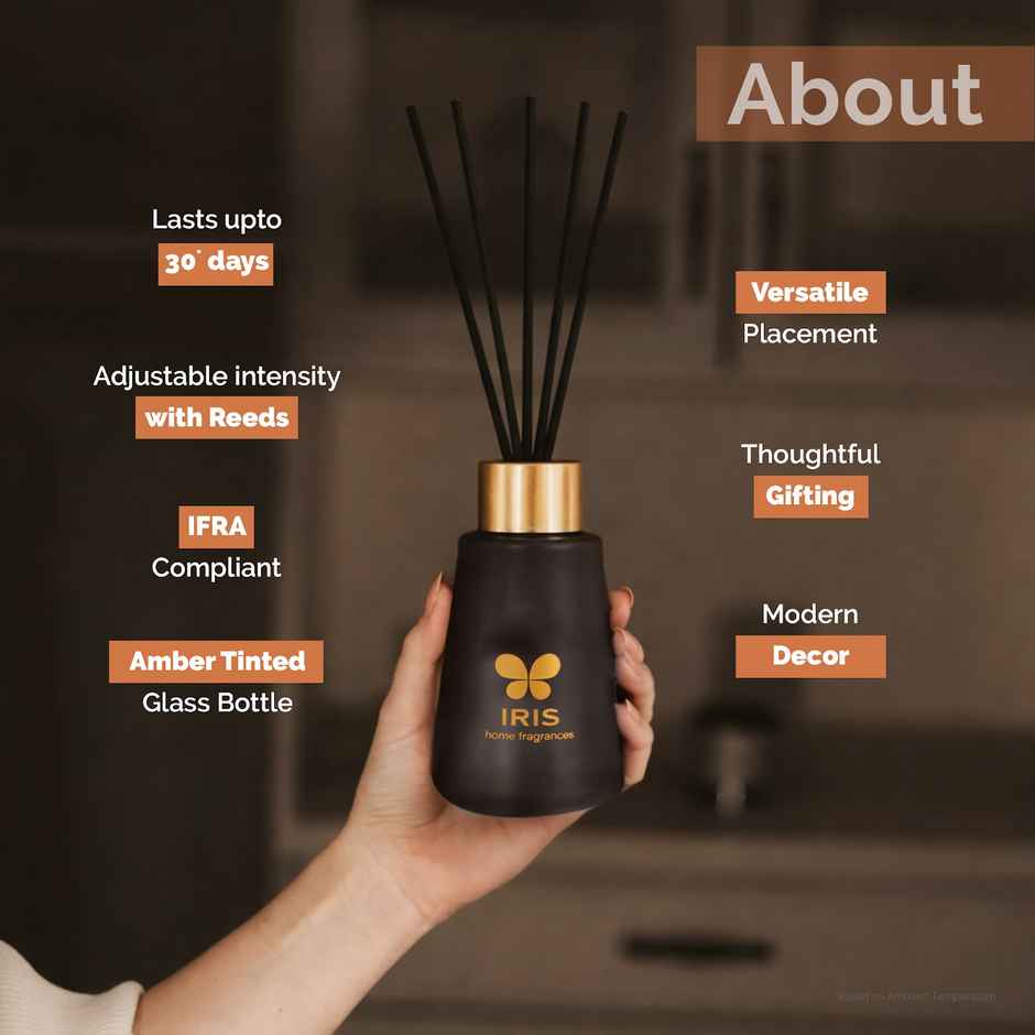 IRIS Cedar Embers Frosted Glass Reed Diffuser Set | Oil and 5 Fibre Reed sticks