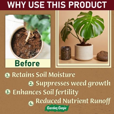 Garden Genie Indoor Plant Fertilizer | Organic Plant Khad for jade, zz, money plant etc